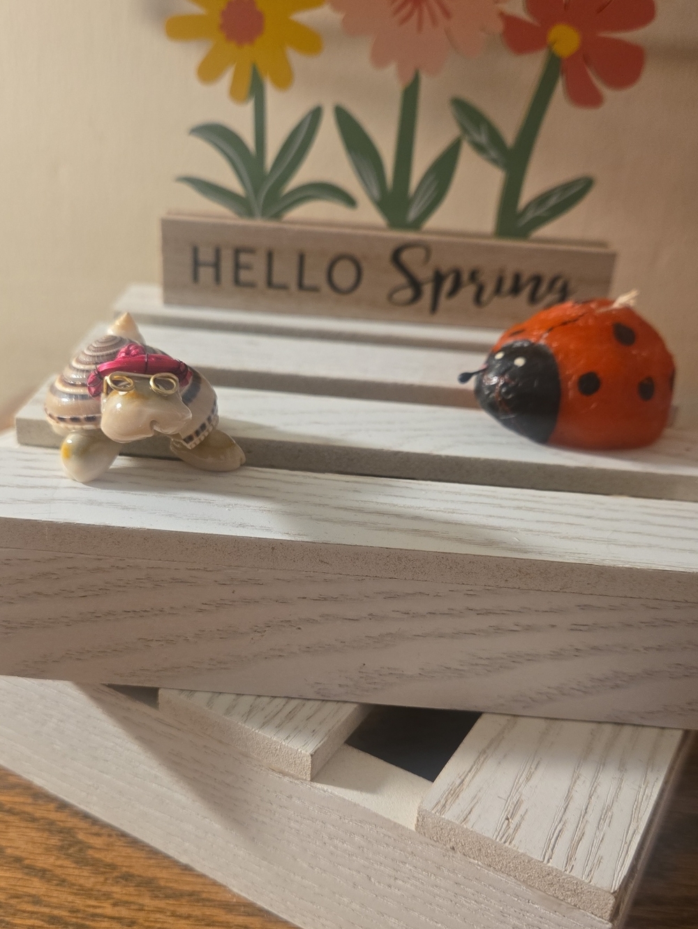Decorative Small Pet Shell Turtle Figurine w- Glasses!